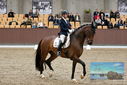 Filename=PT9_8909.JPG
Filesize=397KiB
Dimensions=1224x817
Date added=Oct 18, 2022 PT9_8909.JPG