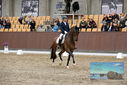 Filename=PT9_8910.JPG
Filesize=457KiB
Dimensions=1224x817
Date added=Oct 18, 2022 PT9_8910.JPG
