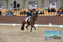 Filename=PT9_8911.JPG
Filesize=461KiB
Dimensions=1224x817
Date added=Oct 18, 2022 PT9_8911.JPG