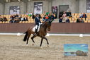 Filename=PT9_8912.JPG
Filesize=429KiB
Dimensions=1224x817
Date added=Oct 18, 2022 PT9_8912.JPG