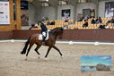 Filename=PT9_8914.JPG
Filesize=443KiB
Dimensions=1224x817
Date added=Oct 18, 2022 PT9_8914.JPG