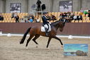 Filename=PT9_8916.JPG
Filesize=413KiB
Dimensions=1224x817
Date added=Oct 18, 2022 PT9_8916.JPG