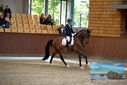 Filename=PT9_8918.JPG
Filesize=431KiB
Dimensions=1224x817
Date added=Oct 18, 2022 PT9_8918.JPG