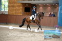 Filename=PT9_8919.JPG
Filesize=373KiB
Dimensions=1224x817
Date added=Oct 18, 2022 PT9_8919.JPG
