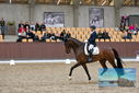 Filename=PT9_8922.JPG
Filesize=426KiB
Dimensions=1224x817
Date added=Oct 18, 2022 PT9_8922.JPG