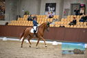 Filename=PT9_8925.JPG
Filesize=406KiB
Dimensions=1224x817
Date added=Oct 18, 2022 PT9_8925.JPG