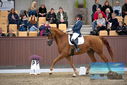 Filename=PT9_8935.JPG
Filesize=397KiB
Dimensions=1224x817
Date added=Oct 18, 2022 PT9_8935.JPG