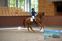 Filename=PT9_8937.JPG
Filesize=403KiB
Dimensions=1224x817
Date added=Oct 18, 2022 PT9_8937.JPG