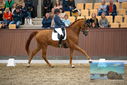 Filename=PT9_8940.JPG
Filesize=419KiB
Dimensions=1224x817
Date added=Oct 18, 2022 PT9_8940.JPG