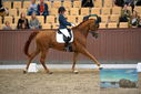 Filename=PT9_8941.JPG
Filesize=400KiB
Dimensions=1224x817
Date added=Oct 18, 2022 PT9_8941.JPG