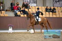 Filename=PT9_8943.JPG
Filesize=413KiB
Dimensions=1224x817
Date added=Oct 18, 2022 PT9_8943.JPG