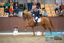 Filename=PT9_8945.JPG
Filesize=429KiB
Dimensions=1224x817
Date added=Oct 18, 2022 PT9_8945.JPG