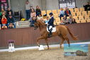 Filename=PT9_8955.JPG
Filesize=427KiB
Dimensions=1224x817
Date added=Oct 18, 2022 PT9_8955.JPG