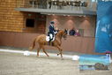 Filename=PT9_8958.JPG
Filesize=394KiB
Dimensions=1224x817
Date added=Oct 18, 2022 PT9_8958.JPG