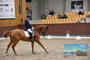 Filename=PT9_8960.JPG
Filesize=411KiB
Dimensions=1224x817
Date added=Oct 18, 2022 PT9_8960.JPG