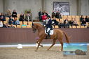 Filename=PT9_8963.JPG
Filesize=420KiB
Dimensions=1224x817
Date added=Oct 18, 2022 PT9_8963.JPG