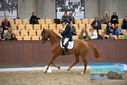 Filename=PT9_8964.JPG
Filesize=398KiB
Dimensions=1224x817
Date added=Oct 18, 2022 PT9_8964.JPG