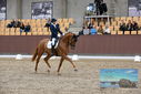 Filename=PT9_8969.JPG
Filesize=462KiB
Dimensions=1224x817
Date added=Oct 18, 2022 PT9_8969.JPG