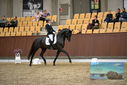 Filename=PT9_8975.JPG
Filesize=392KiB
Dimensions=1224x817
Date added=Oct 18, 2022 PT9_8975.JPG