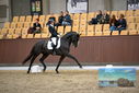 Filename=PT9_8976.JPG
Filesize=390KiB
Dimensions=1224x817
Date added=Oct 18, 2022 PT9_8976.JPG