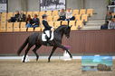 Filename=PT9_8977.JPG
Filesize=387KiB
Dimensions=1224x817
Date added=Oct 18, 2022 PT9_8977.JPG