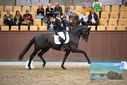 Filename=PT9_8979.JPG
Filesize=348KiB
Dimensions=1224x817
Date added=Oct 18, 2022 PT9_8979.JPG