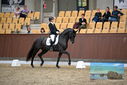 Filename=PT9_8980.JPG
Filesize=399KiB
Dimensions=1224x817
Date added=Oct 18, 2022 PT9_8980.JPG