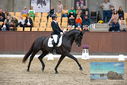 Filename=PT9_8983.JPG
Filesize=401KiB
Dimensions=1224x817
Date added=Oct 18, 2022 PT9_8983.JPG