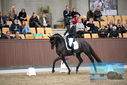 Filename=PT9_8986.JPG
Filesize=398KiB
Dimensions=1224x817
Date added=Oct 18, 2022 PT9_8986.JPG