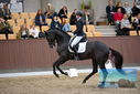 Filename=PT9_8992.JPG
Filesize=387KiB
Dimensions=1224x817
Date added=Oct 18, 2022 PT9_8992.JPG