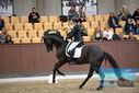 Filename=PT9_8993.JPG
Filesize=367KiB
Dimensions=1224x817
Date added=Oct 18, 2022 PT9_8993.JPG