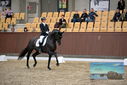 Filename=PT9_8994.JPG
Filesize=407KiB
Dimensions=1224x817
Date added=Oct 18, 2022 PT9_8994.JPG