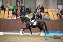 Filename=PT9_8999.JPG
Filesize=421KiB
Dimensions=1224x817
Date added=Oct 18, 2022 PT9_8999.JPG