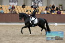 Filename=PT9_9002.JPG
Filesize=411KiB
Dimensions=1224x817
Date added=Oct 18, 2022 PT9_9002.JPG