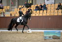 Filename=PT9_9003.JPG
Filesize=396KiB
Dimensions=1224x817
Date added=Oct 18, 2022 PT9_9003.JPG