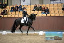 Filename=PT9_9005.JPG
Filesize=385KiB
Dimensions=1224x817
Date added=Oct 18, 2022 PT9_9005.JPG