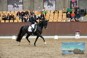 Filename=PT9_9007.JPG
Filesize=409KiB
Dimensions=1224x817
Date added=Oct 18, 2022 PT9_9007.JPG