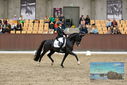 Filename=PT9_9008.JPG
Filesize=411KiB
Dimensions=1224x817
Date added=Oct 18, 2022 PT9_9008.JPG