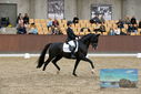 Filename=PT9_9009.JPG
Filesize=400KiB
Dimensions=1224x817
Date added=Oct 18, 2022 PT9_9009.JPG