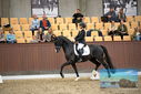 Filename=PT9_9011.JPG
Filesize=414KiB
Dimensions=1224x817
Date added=Oct 18, 2022 PT9_9011.JPG