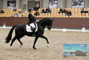 Filename=PT9_9012.JPG
Filesize=429KiB
Dimensions=1224x817
Date added=Oct 18, 2022 PT9_9012.JPG