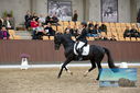 Filename=PT9_9017.JPG
Filesize=401KiB
Dimensions=1224x817
Date added=Oct 18, 2022 PT9_9017.JPG
