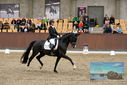 Filename=PT9_9022.JPG
Filesize=465KiB
Dimensions=1224x817
Date added=Oct 18, 2022 PT9_9022.JPG