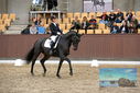 Filename=PT9_9025.JPG
Filesize=440KiB
Dimensions=1224x817
Date added=Oct 18, 2022 PT9_9025.JPG