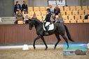 Filename=PT9_9032.JPG
Filesize=391KiB
Dimensions=1224x817
Date added=Oct 18, 2022 PT9_9032.JPG