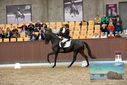 Filename=PT9_9034.JPG
Filesize=418KiB
Dimensions=1224x817
Date added=Oct 18, 2022 PT9_9034.JPG
