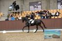 Filename=PT9_9035.JPG
Filesize=378KiB
Dimensions=1224x817
Date added=Oct 18, 2022 PT9_9035.JPG