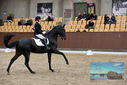 Filename=PT9_9038.JPG
Filesize=412KiB
Dimensions=1224x817
Date added=Oct 18, 2022 PT9_9038.JPG