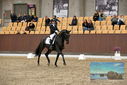 Filename=PT9_9039.JPG
Filesize=446KiB
Dimensions=1224x817
Date added=Oct 18, 2022 PT9_9039.JPG