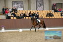 Filename=PT9_9043.JPG
Filesize=453KiB
Dimensions=1224x817
Date added=Oct 18, 2022 PT9_9043.JPG